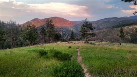 Browns Lake Pingree Park Road Rustic Colorado Free Camping Near You