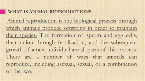 animal reproduction   type  functionpptx pptx