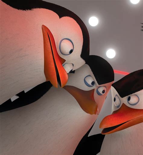 Create Meme Penguins Of Madagascar 2014 The Penguins Of Madagascar