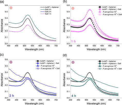 UVVis Spectra Showing Absorption Modification Steps A AuNPs Aptamers