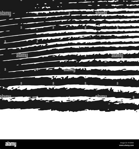 Black And White Zebra Texture Background Abstract Ripped Strips