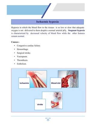 Hypoxia | PDF