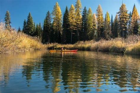 Clearwater River Canoe Trail Seeley Lake Tutto Quello Che Cè Da Sapere