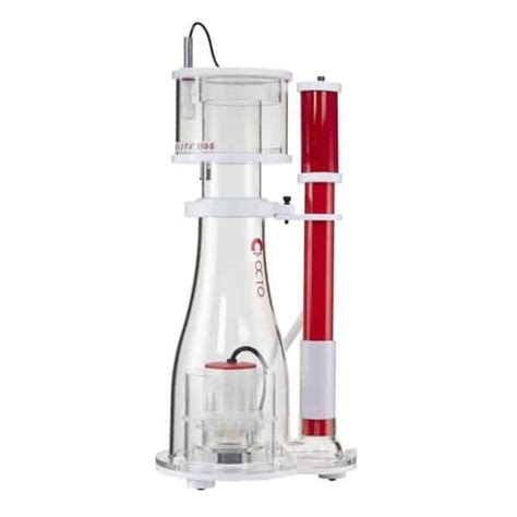 Aquarium Fish Sale Online
