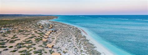 SAL SALIS NINGALOO REEF DELUXE CAMPING Safari Deals