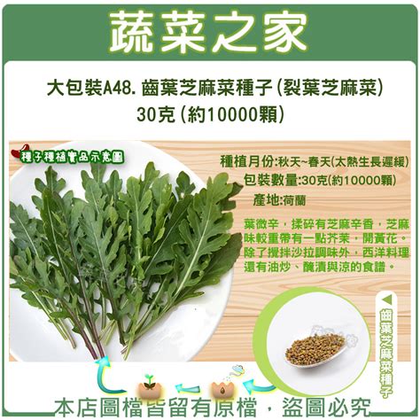 【蔬菜之家滿額免運】大包裝a48齒葉芝麻菜種子裂葉芝麻菜 30克約10000顆 蝦皮購物