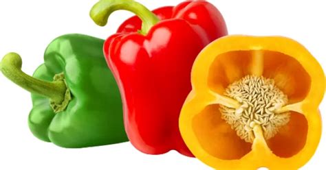 Купить семена Перец Болгарский