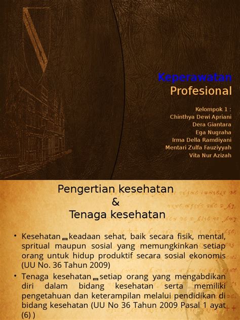 PDF Keperawatan Profesional Ppt DOKUMEN TIPS