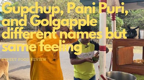 Panipuri Paradise Exploring The Best Gupchup Stall In Birmitrapur My