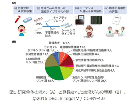 開発中の「血液がん用の遺伝子パネル検査」、診断や予後の予測でとくに有用性が高い—国がん Gemmed データが拓く新時代医療