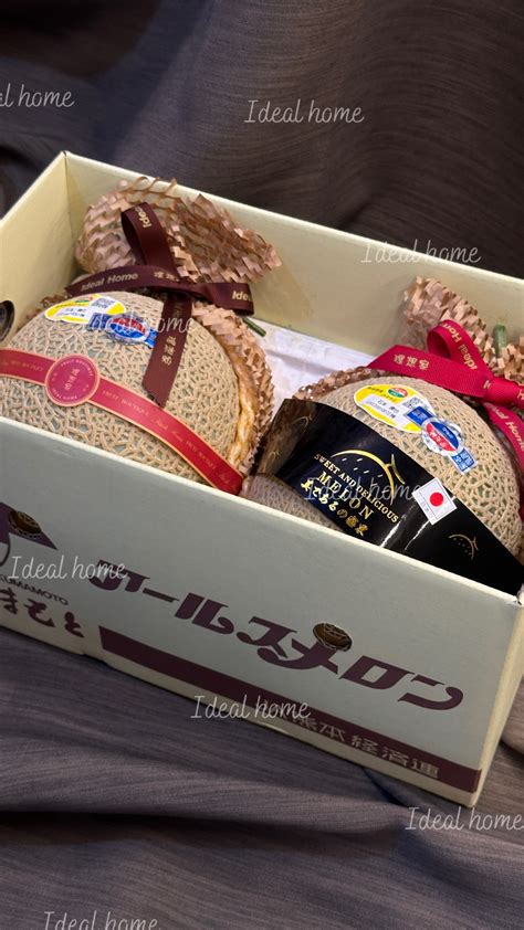 日本溫室哈密瓜 日本頂級水果 ※ Ideal Home 理想家