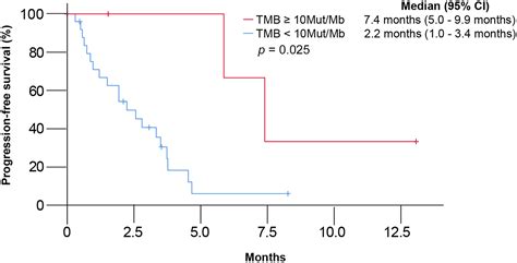 Tumor Mutational Burden As A Biomarker For Advanced Biliary Tract