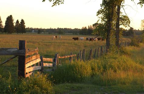 Brandon Communities In Canada S Rural And Northern Immigration Pilot