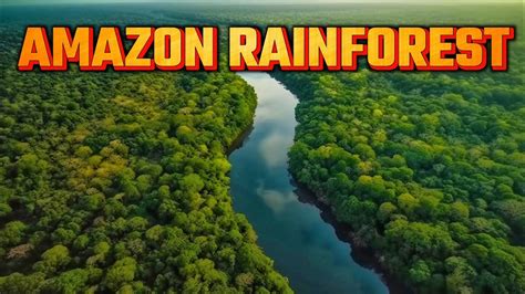 Duniya Ka Sabse Bada Jungle Amazon Rainforest इस बत क शयद आप भ