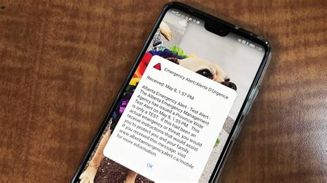 Canadas Emergency Alert System Test Happening Today Ctv News