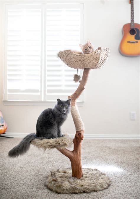 15 Cute Indoor Cat Towers That Look Like Real Trees And Where To Buy