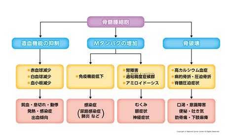 多発性骨髄腫の原因・症状について｜国立がん研究センター