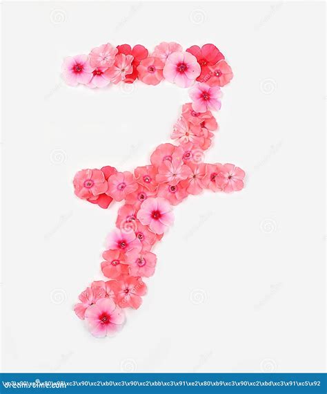 Number 7 Made From Real Fresh Flowers Floral Font Concept Alphabet