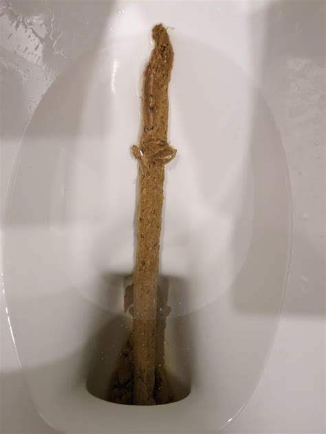 longest poop without breaking. rate my poo : r/ratemypoo