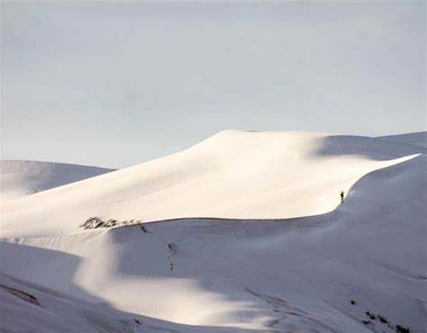 Le Dune Del Sahara Ricoperte Da 40cm Di Neve Ecco Le Immagini Dell