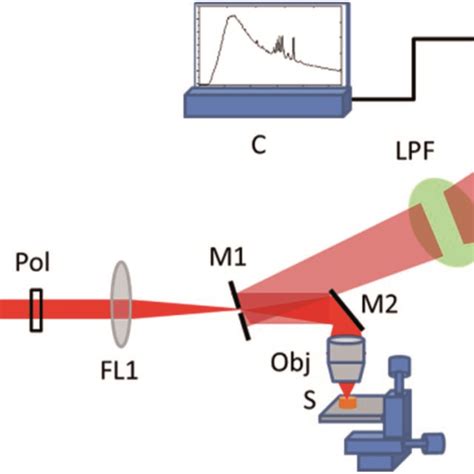 Schematic Of The Lab Built Raman Spectroscopy Setup The Abbreviations Download Scientific