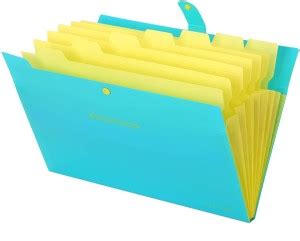 Flipkart Shining Zon Plastic Pocket Expandable File Folder For