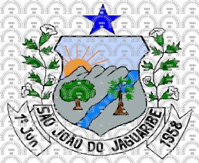 Bras O E Bandeira Da Cidade De S O Jo O Do Jaguaribe Ce Mbi Br