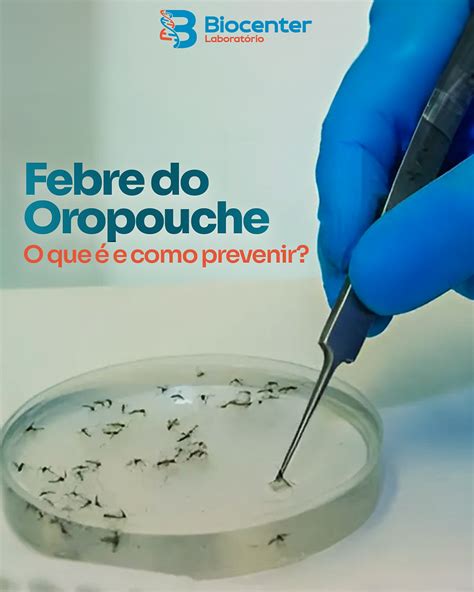 Febre Oropouche Quanto Tempo Dura - Febre do Oropouche: o que é e como prevenir?
