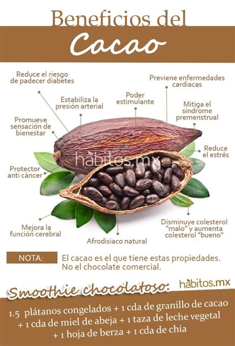 Hábitos Health Coaching LOS BENEFICIOS DEL CACAO Cacao benefits