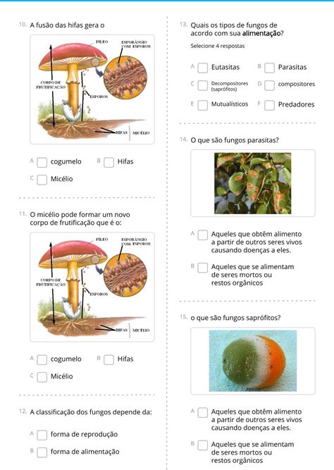 Atividade Sobre Fungos - Fórmula Geo: Atividade: Reino Fungi #6