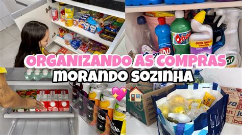 Organizando A Comprinhas Do Mes De Maio Limpei A Geladeira