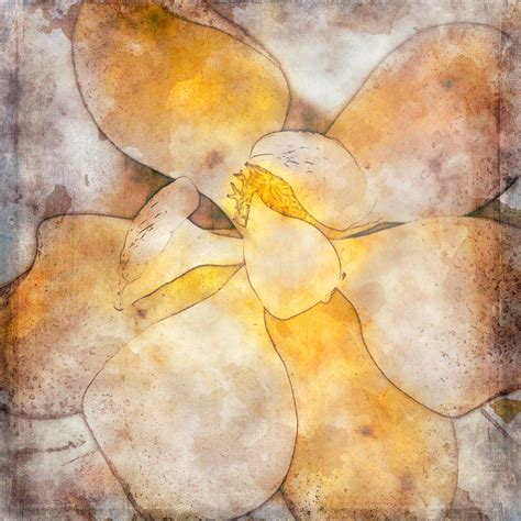 Magnolia Modern Art Mixed Media By Teresa Wilson Fine Art America