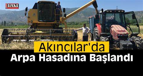 Sivas ın Akıncılar İlçesinde Arpa Hasadına Başlandı Büyük Sivas Haber