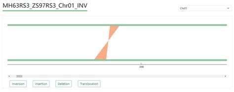 Rice Gene Index Rgi A Comprehensive Pan Genome Database For