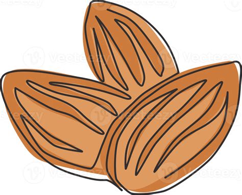 Semilla Comestible De Almendra Seca Vector PNG Dibujos 59 OFF