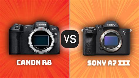 Canon R8 Vs Sony A7 Iii Which Camera Is Better With Ratings And Sample Footage Youtube