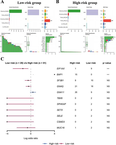 The Analysis Of Somatic Mutations In Low And High Risk Groups A The