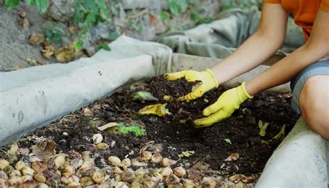 Wurmkompost Selber Bauen Anleitung Tipps F R Den Garten