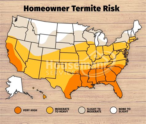 Termite Control & Treatment Gwinnett, Barrow, Walton, and Athens-Clarke