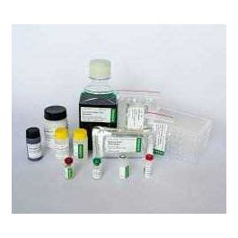 Kit Diagn Stico Elisa Cmv Ensayos