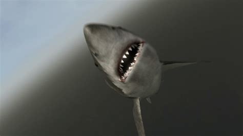 Mega Shark Versus Mecha Shark Where To Watch And Stream Tv Guide