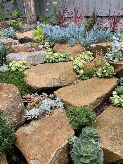 Succulent rock garden | Rock garden, Garden pots, Succulents