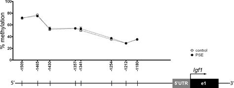 Prenatal Exposure To Tobacco Smoke Sex Dependently Influences