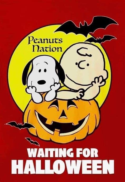 Pin By Pam Vickie Smith On Peanuts Holiday And Seasons Halloween