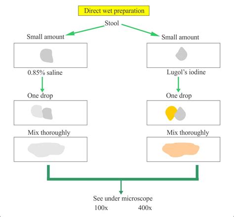 Stool Examination:- Part 1 – Stool Analysis , Complete Stool studies