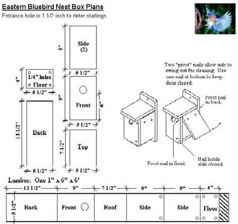 Blue Bird House Plans Beautiful Best 25 Bluebird House Plans Ideas On ...