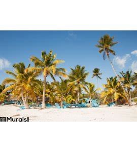 Caribbean Beach Wall Mural