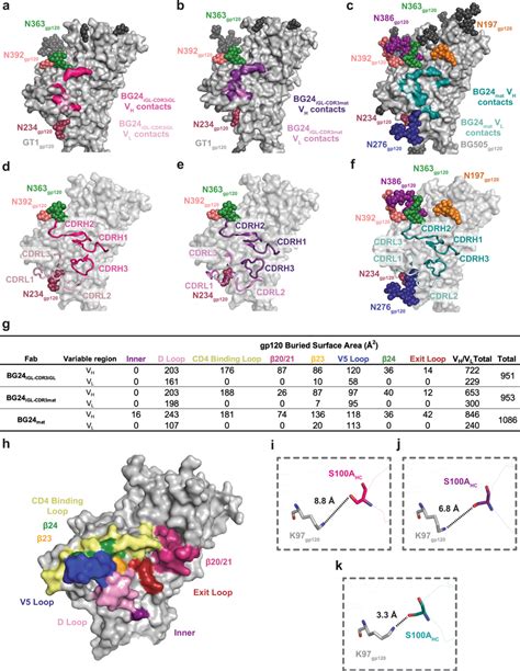 Comparison Of Bg24igl And Bg24mat Cd4bs Epitopes Surface Contacts Made