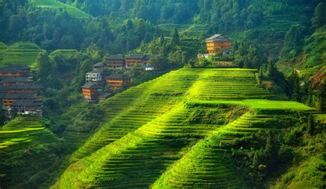 terraced Field, Landscape, Hill, China Wallpapers HD / Desktop and Mobile Backgrounds