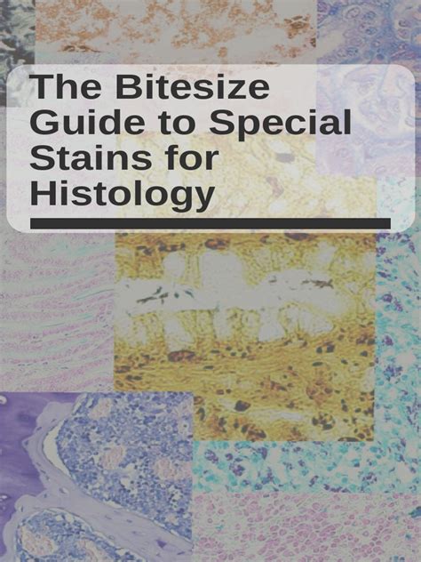 Guide To Special Stains For Histology Bitesize Bio Pdf Staining Gram Positive Bacteria